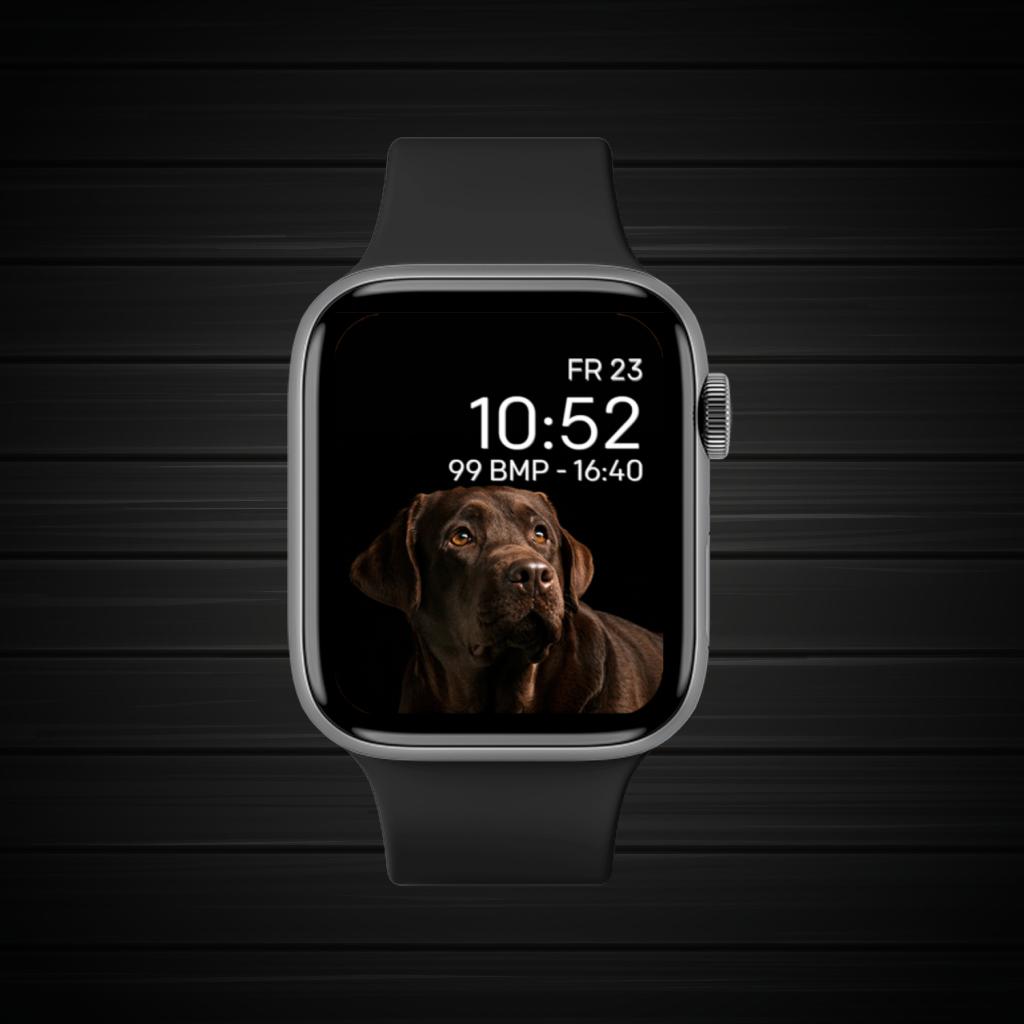 Black Brown Dark Pet 