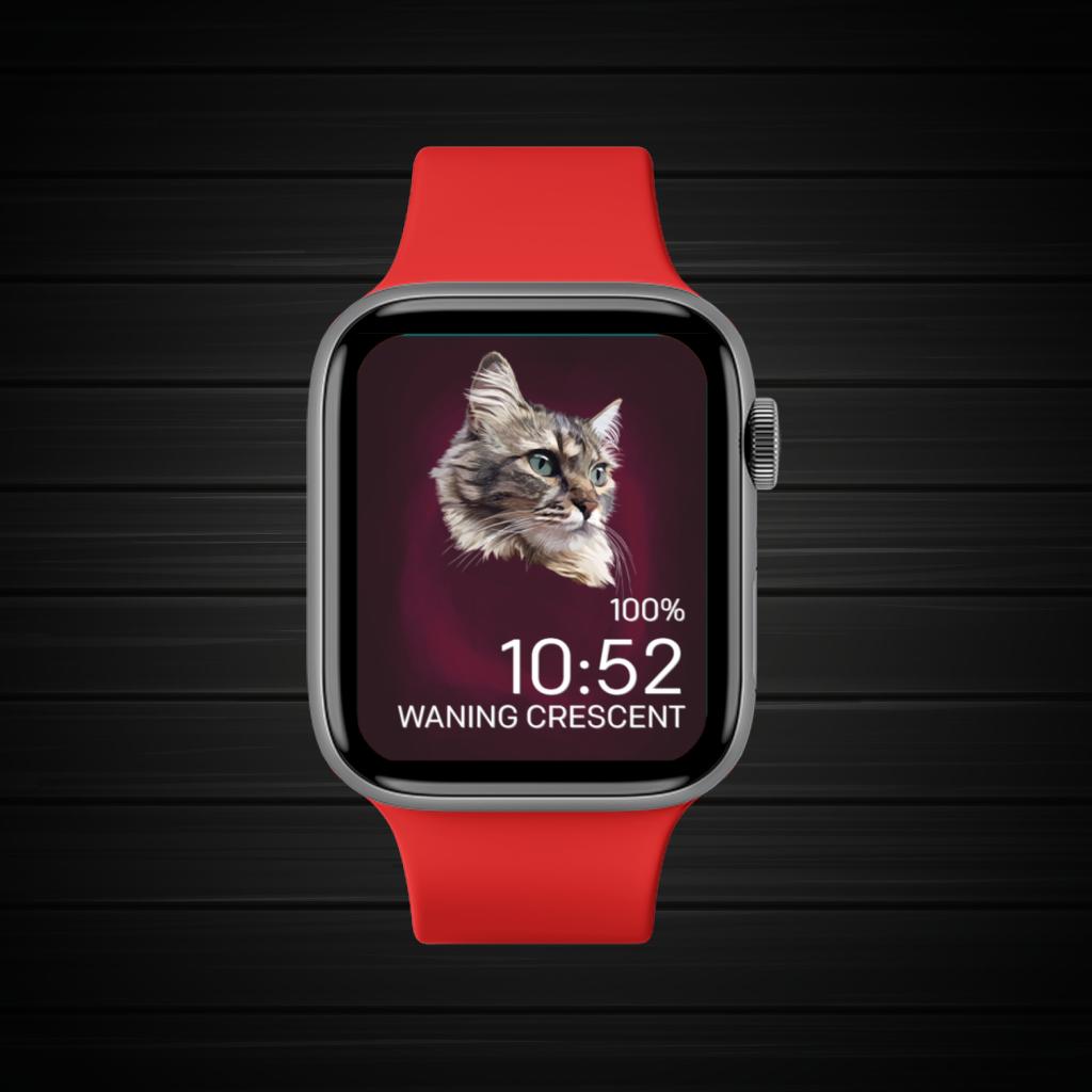 Dark Pet Gray Red 