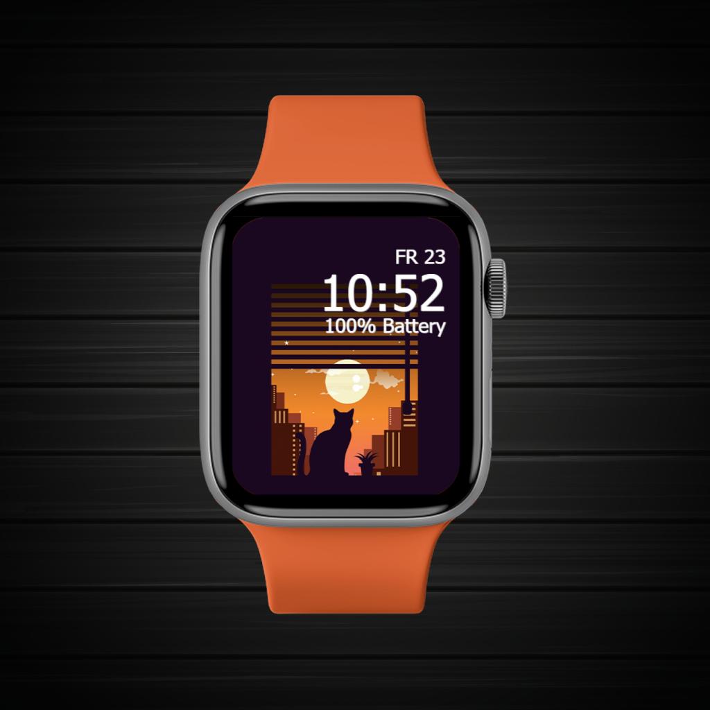 Black Orange Dark Pet 