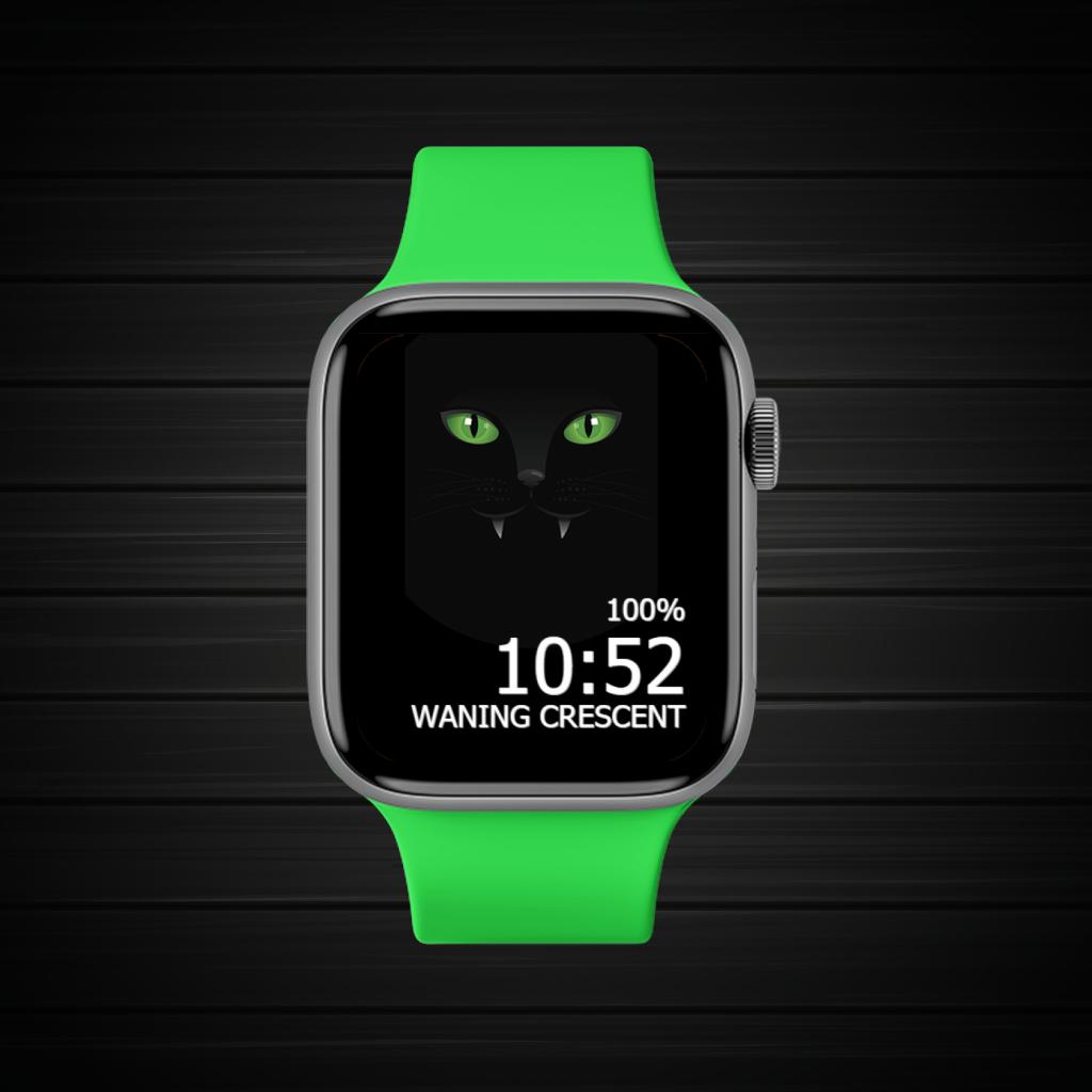 Black Dark Green Pet 