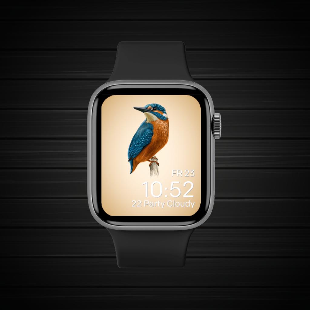 Brown Orange Blue Green 