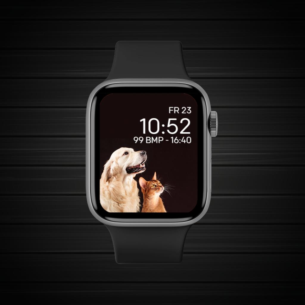 Black Brown Dark Pet 