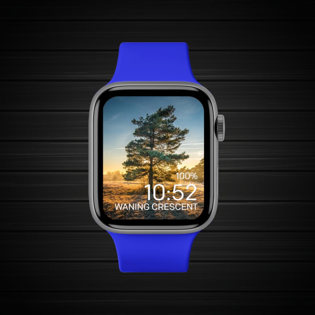 Blue Dark Brown Orange 