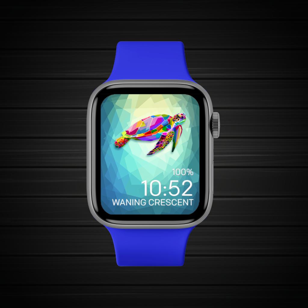 Blue Green Purple Red Pink Wild 