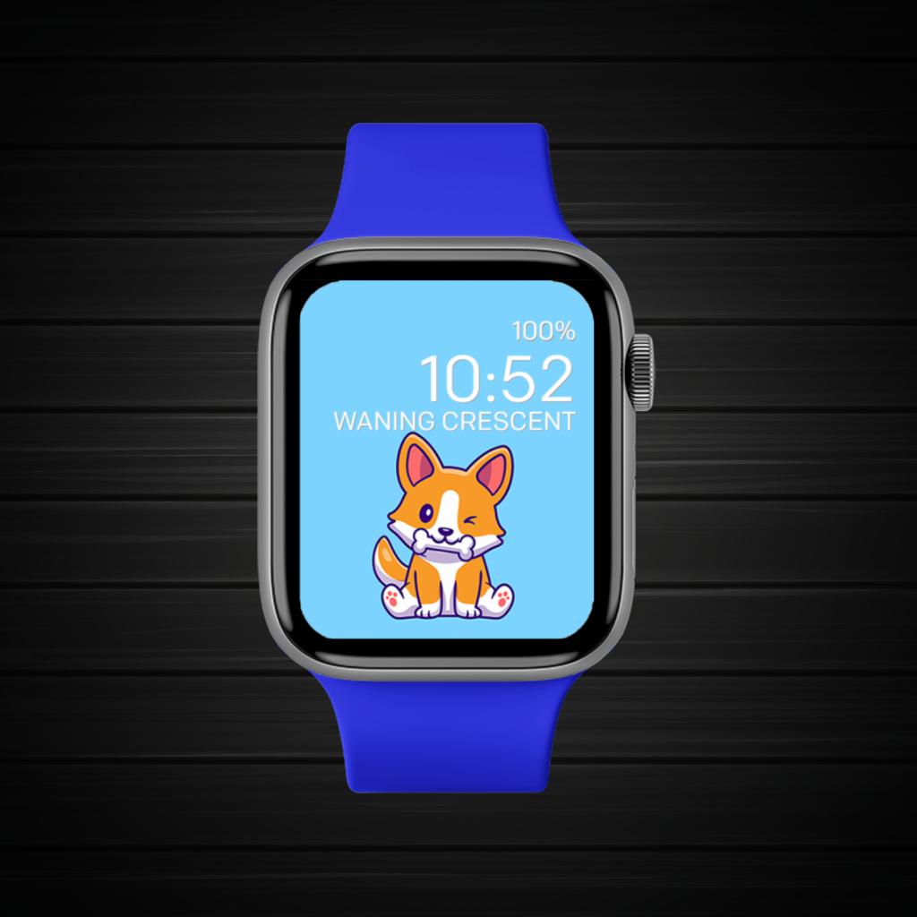 Blue Orange Brown Pet 