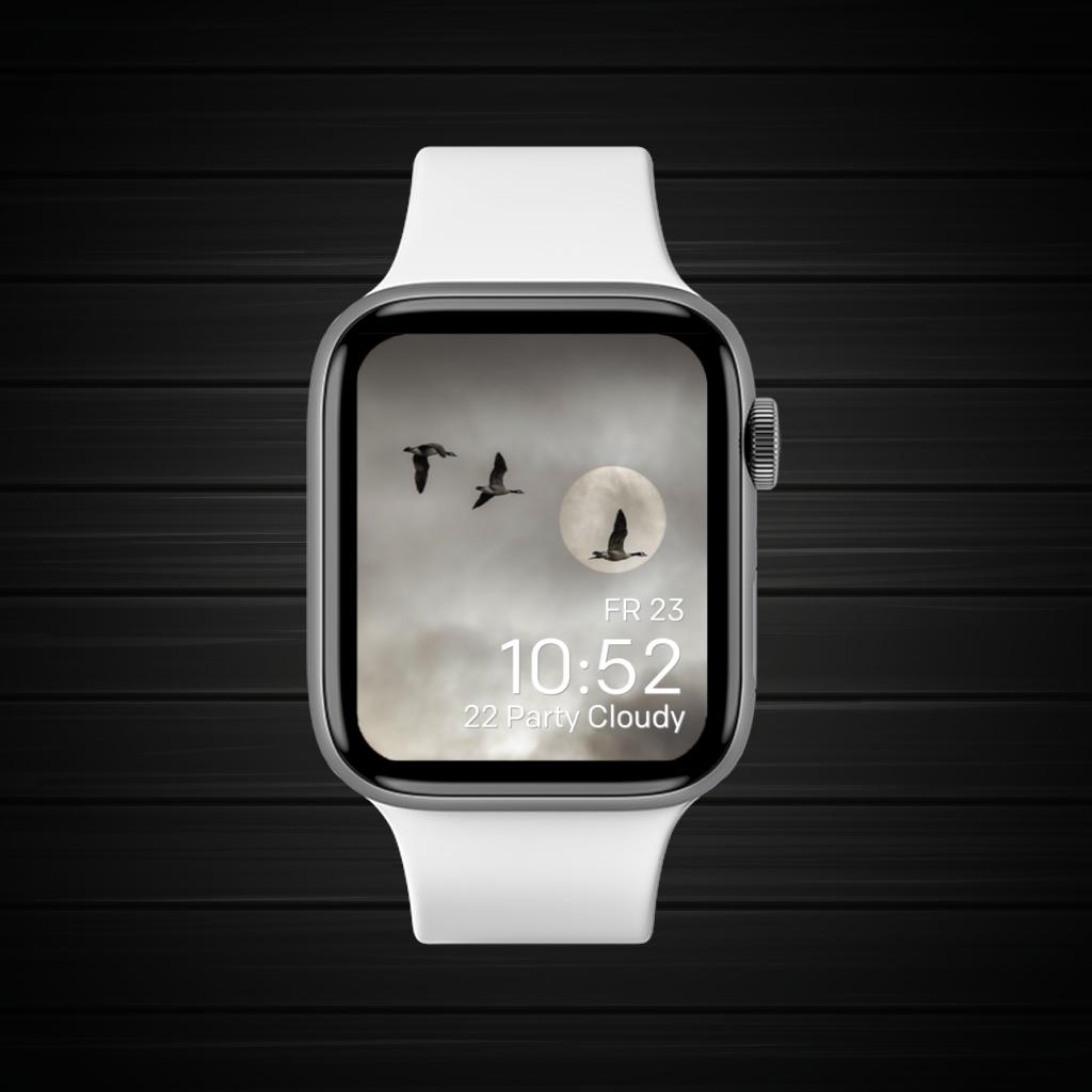 White Black Gray Wild 