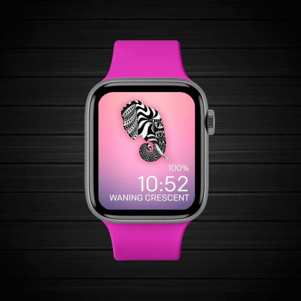 Pink Black White Wild 