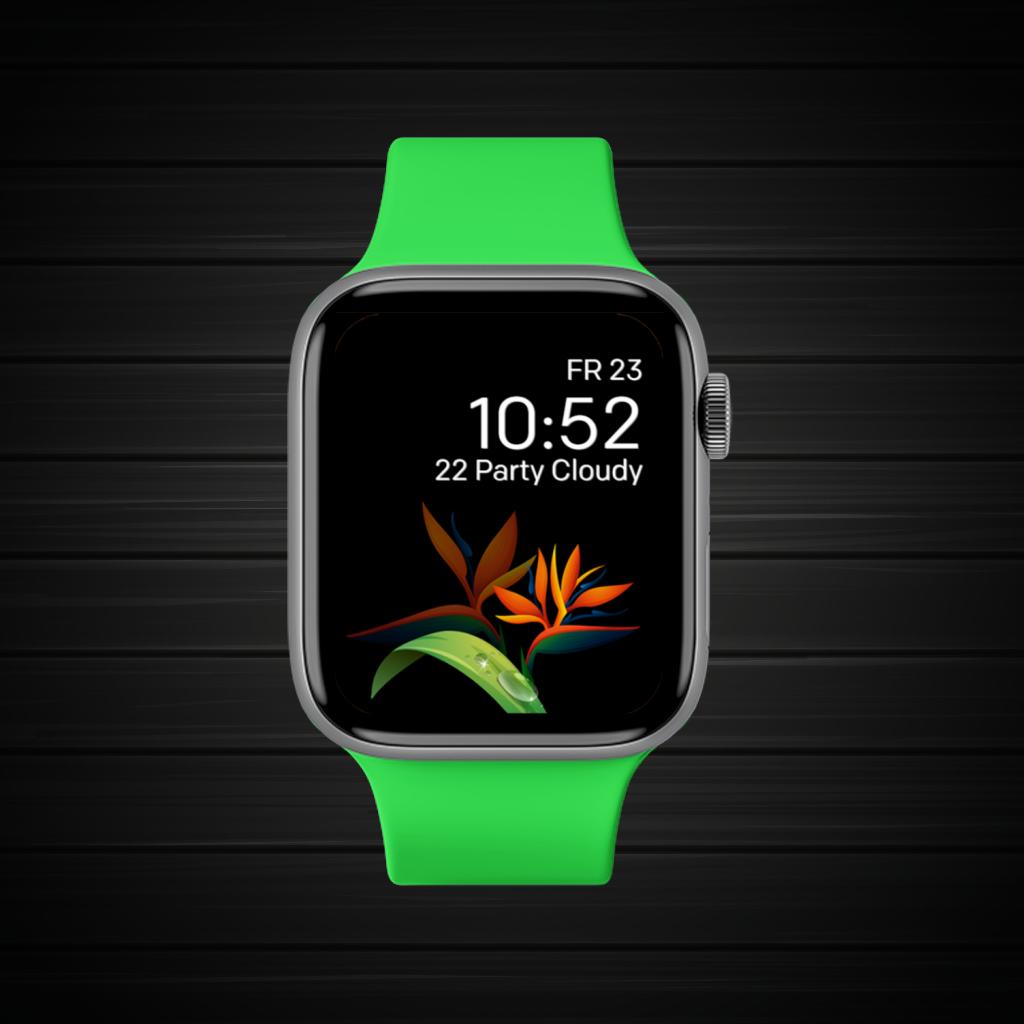 Black Orange Green Dark 