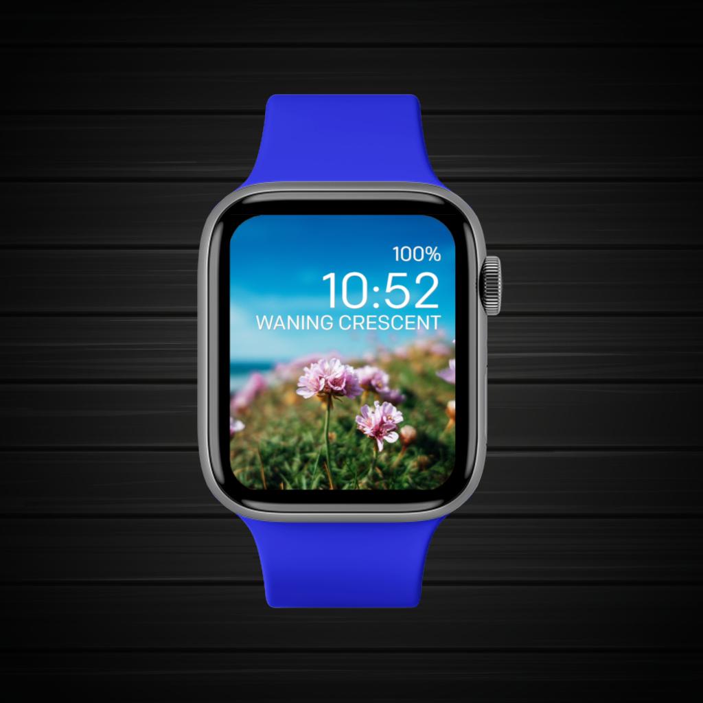 Blue Green Pink Purple White 