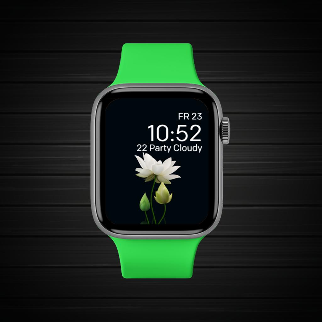 Black Dark White Green 