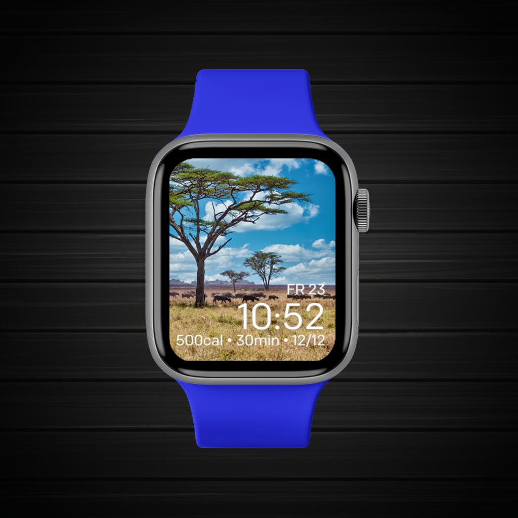 Blue Brown Green Wild 